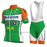 Bardiani Csf Cycling Jersey Bib Short 2018 Men Short Sleeve Green and White
